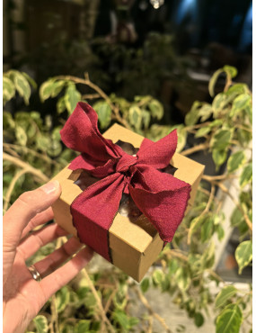 Pack découverte - Parenthèse enchantées