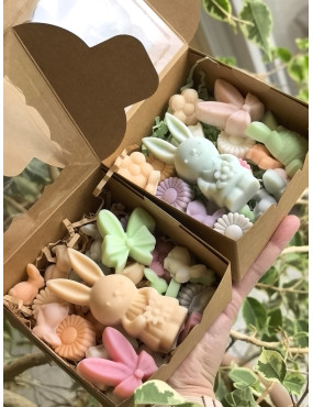 Pack découverte - Le Jardin des Merveilles