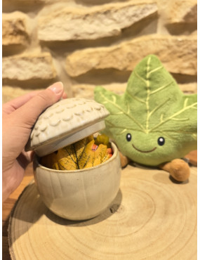 Petit pot d’automne –...