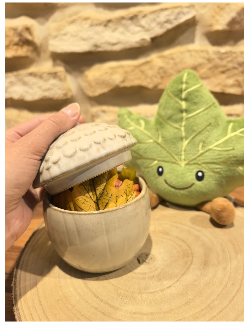 Petit pot d’automne – Fondants parfumés