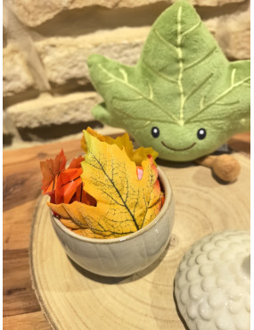 Petit pot d’automne – Fondants parfumés